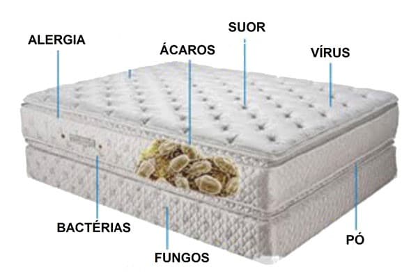Serviços de Limpeza Colchão